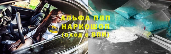 гашик Арсеньев