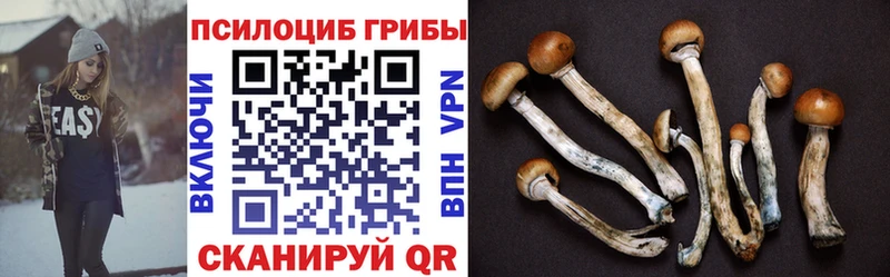 Галлюциногенные грибы мицелий  цена   Усть-Джегута 